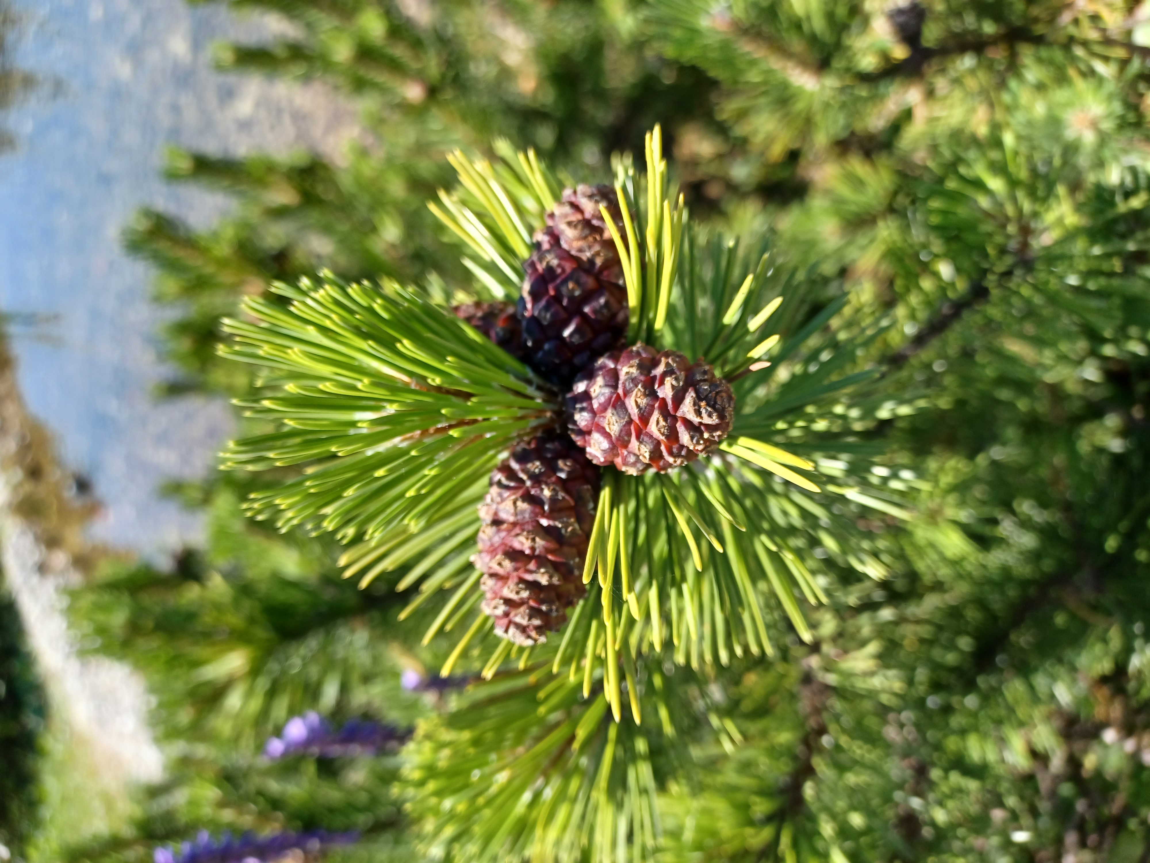 Aktivitäten in der Umgebung