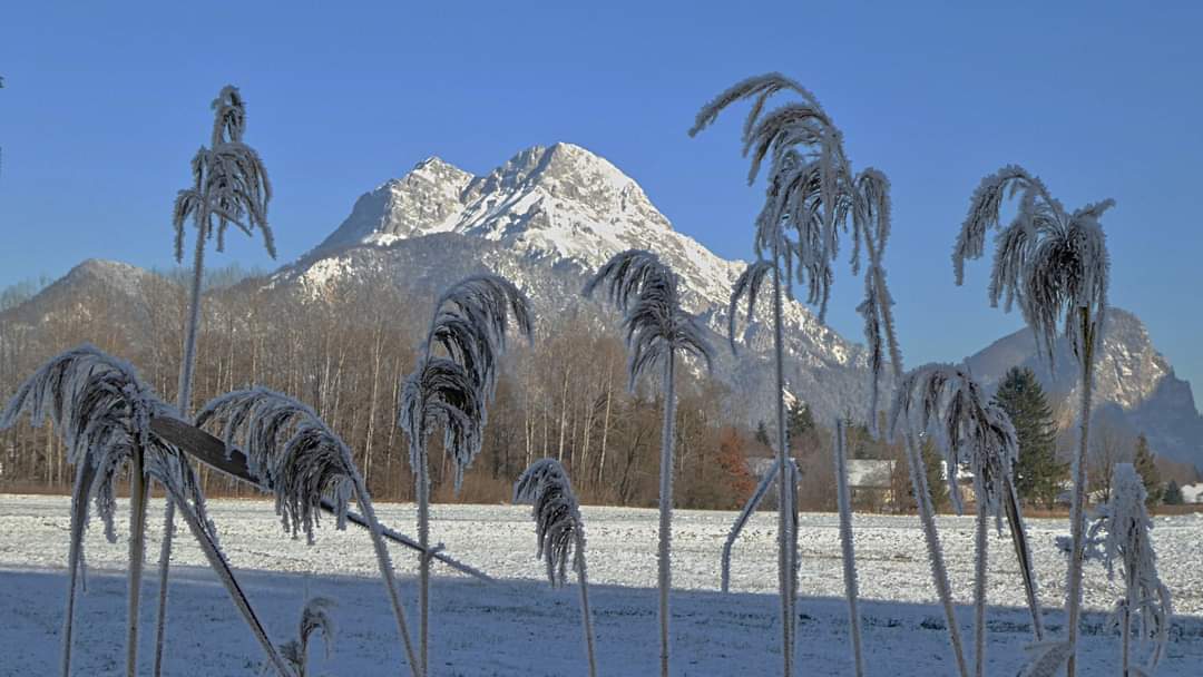 Aktivitäten in der Umgebung